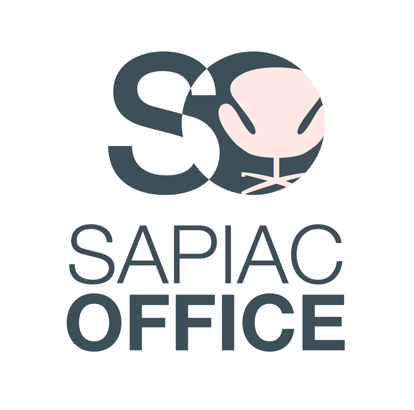 Sapiac Office / Agarithe