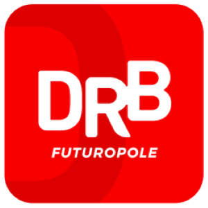Drb Audit