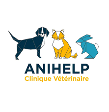 la clinique Anihelp