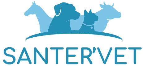de la clinique Santervet