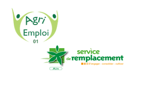 Service de remplacement