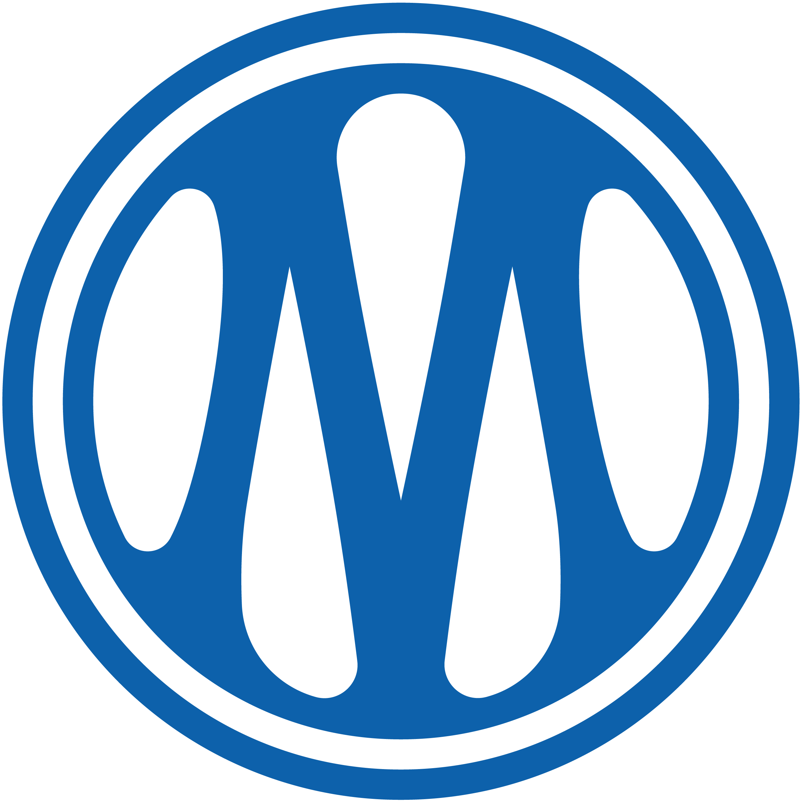 Olympique de Marseille