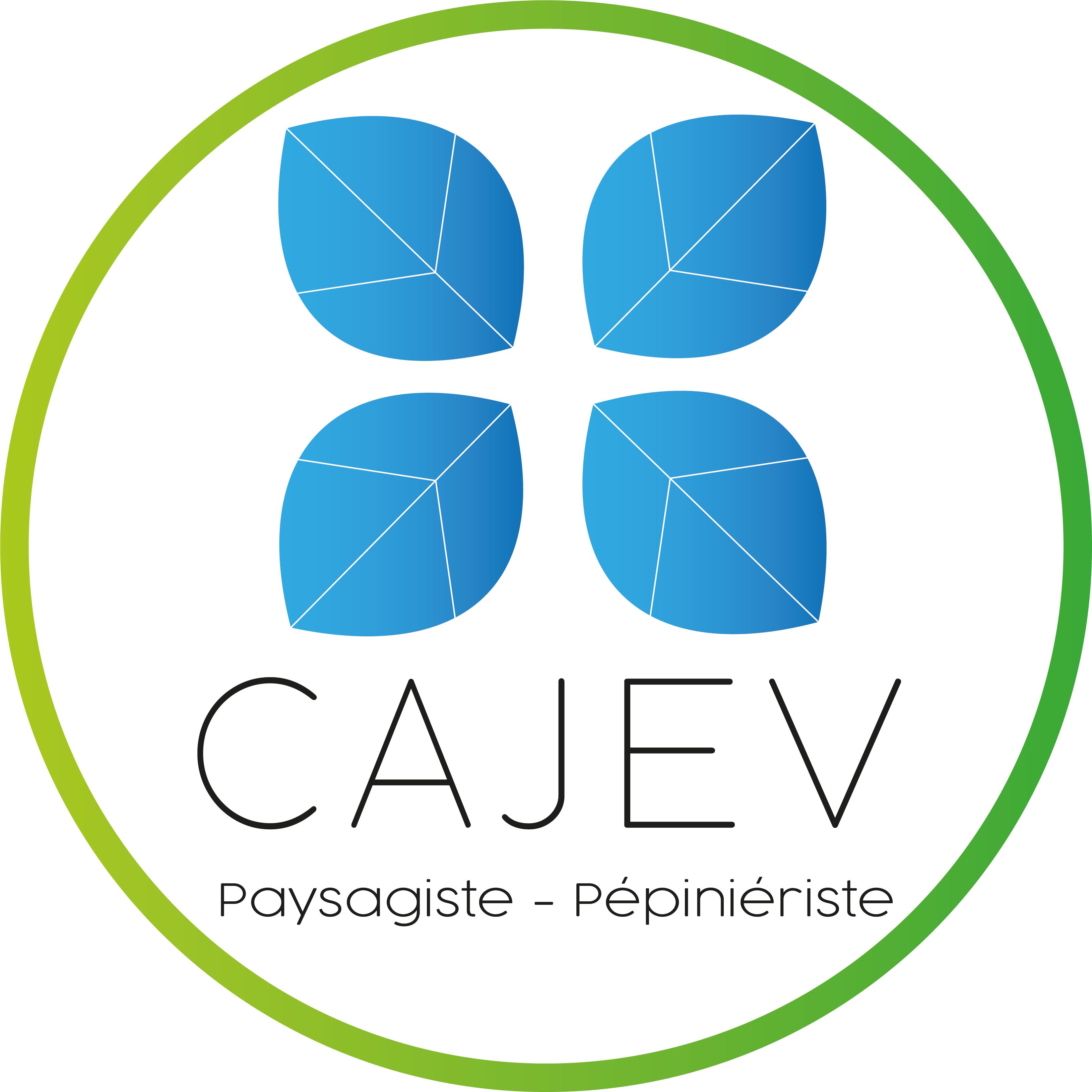 Cajev