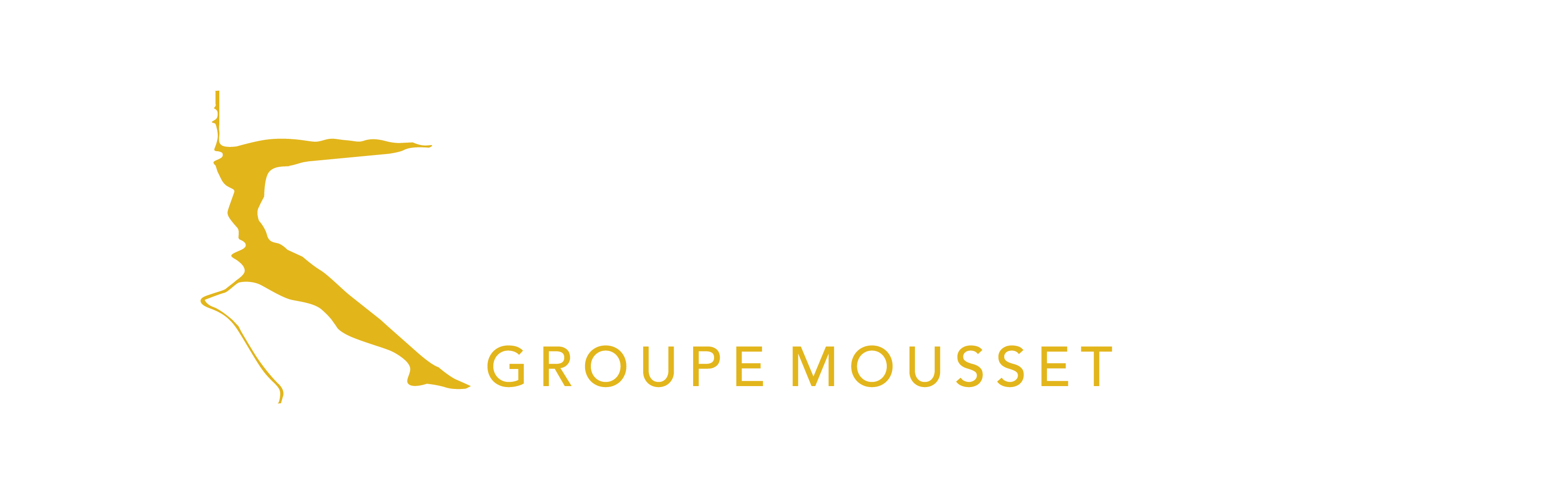 Groupe MOUSSET