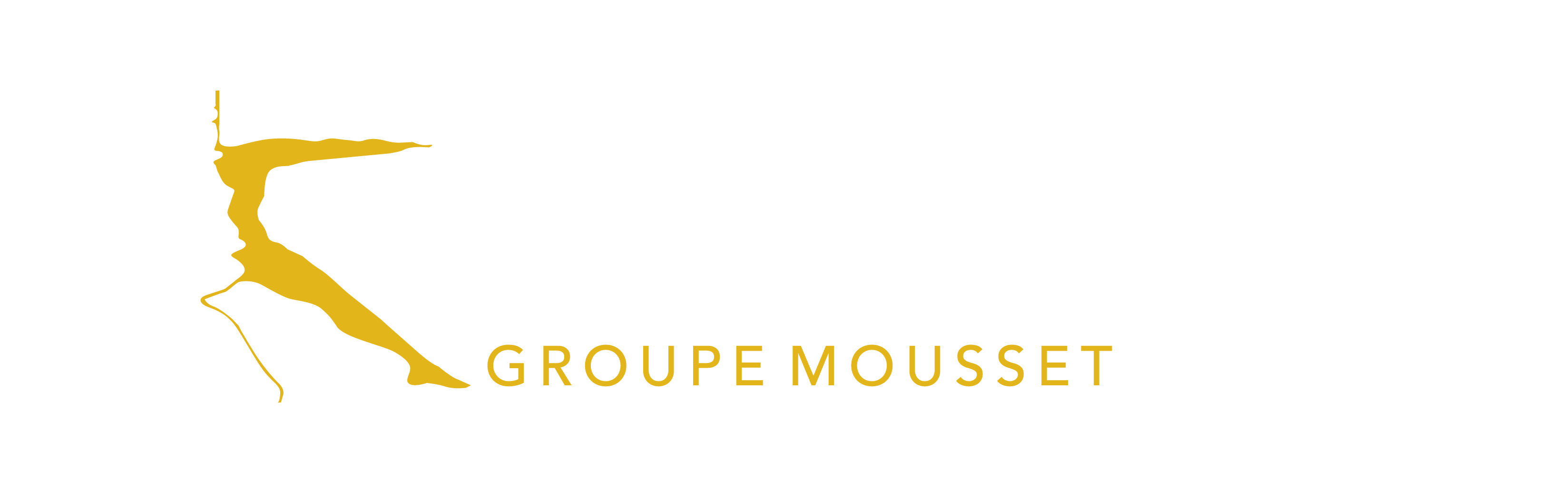 Groupe MOUSSET