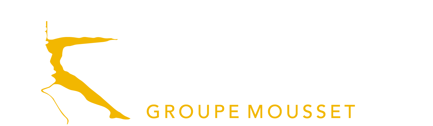 Groupe MOUSSET
