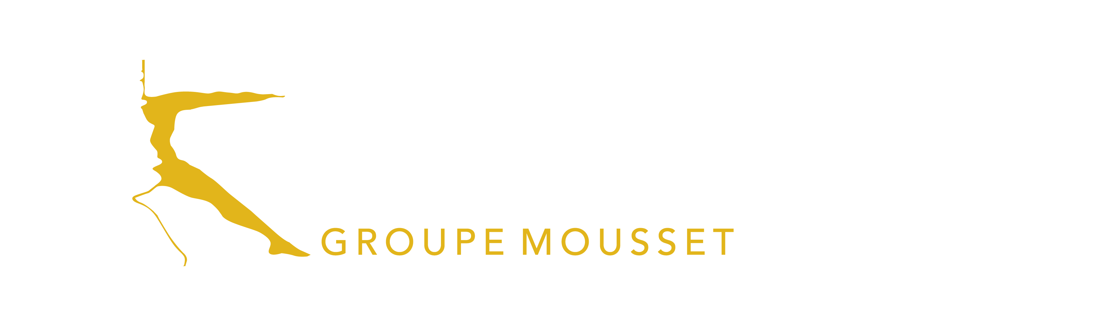 Groupe MOUSSET