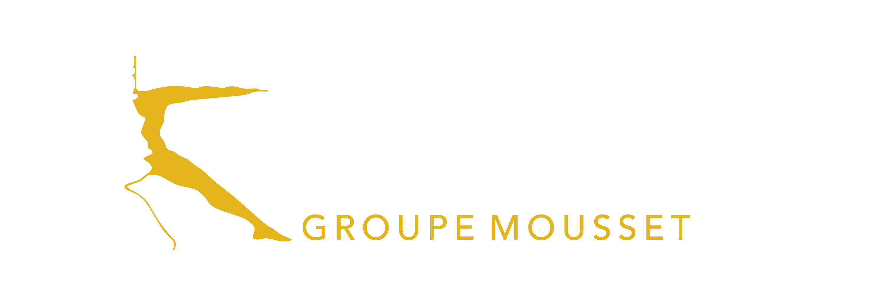 Groupe MOUSSET