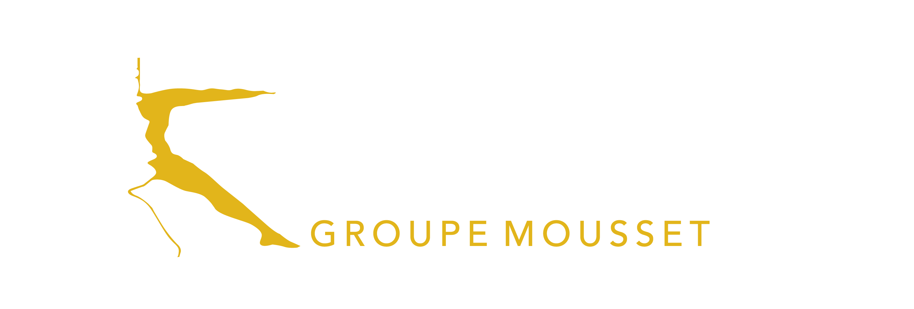 Groupe MOUSSET