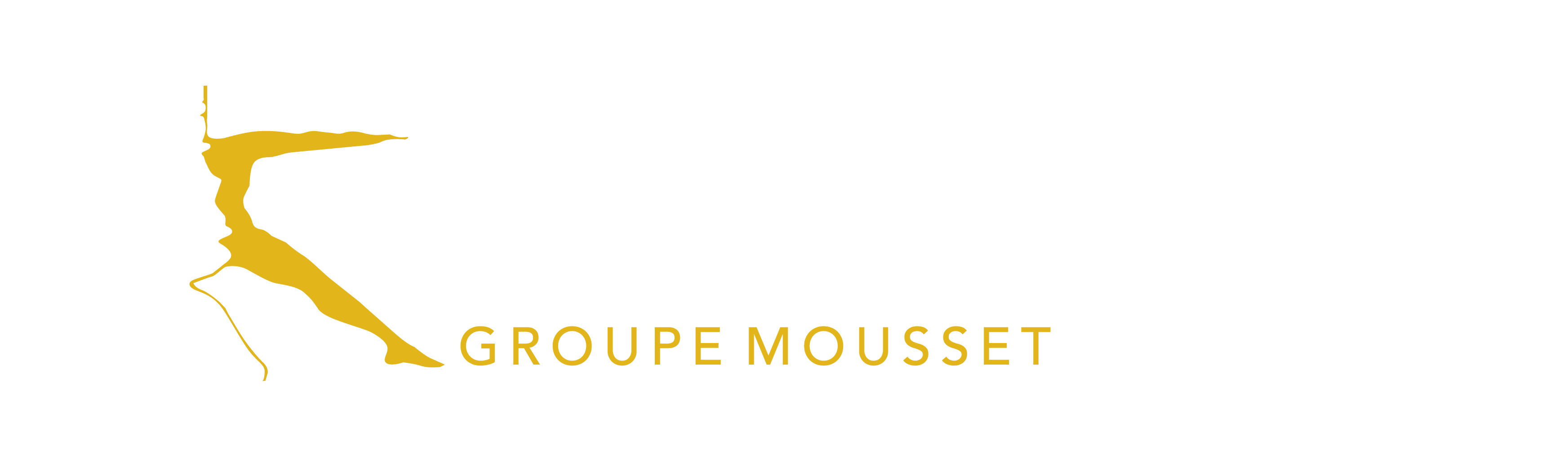 Groupe MOUSSET