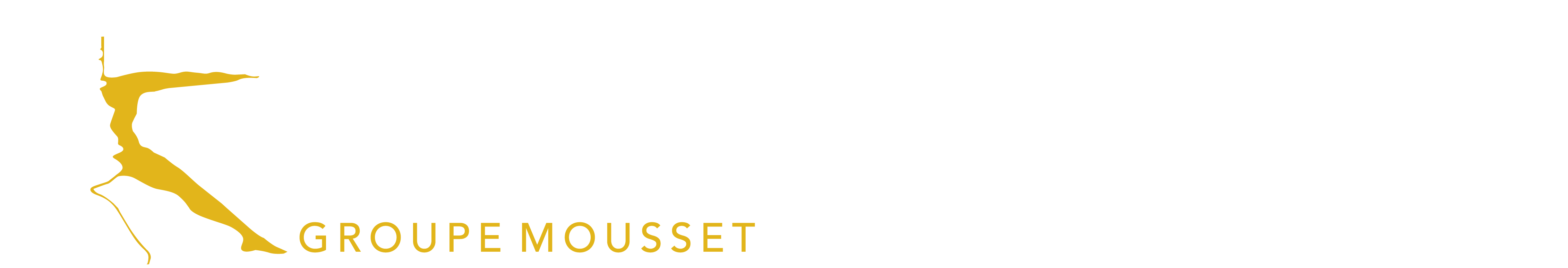 Groupe MOUSSET