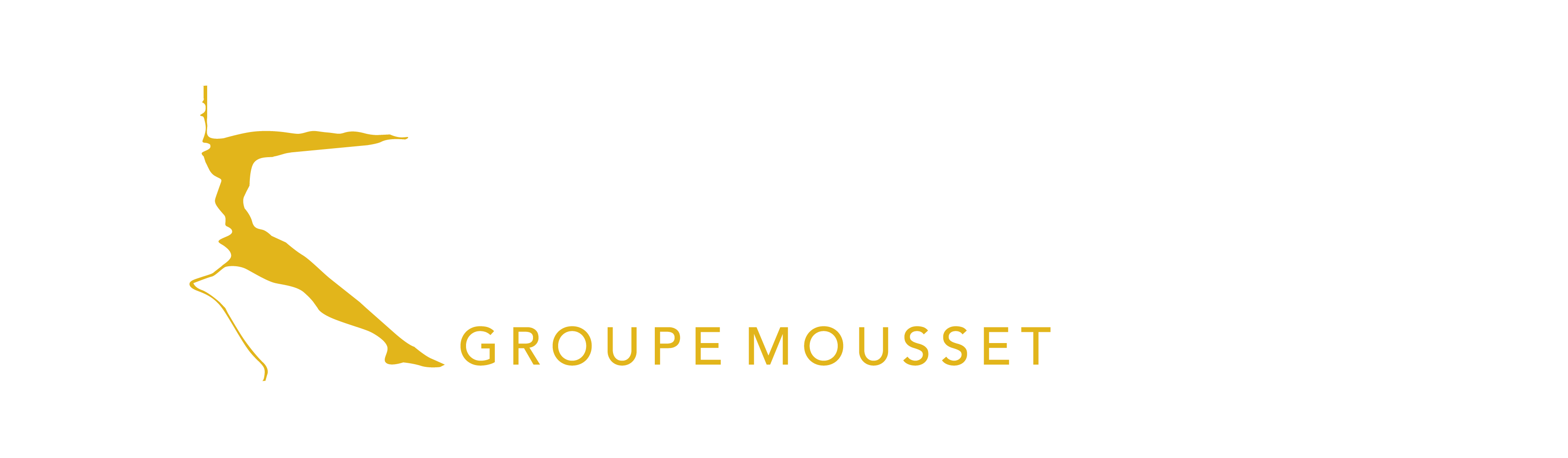 Groupe MOUSSET