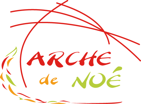 Arche de Noé