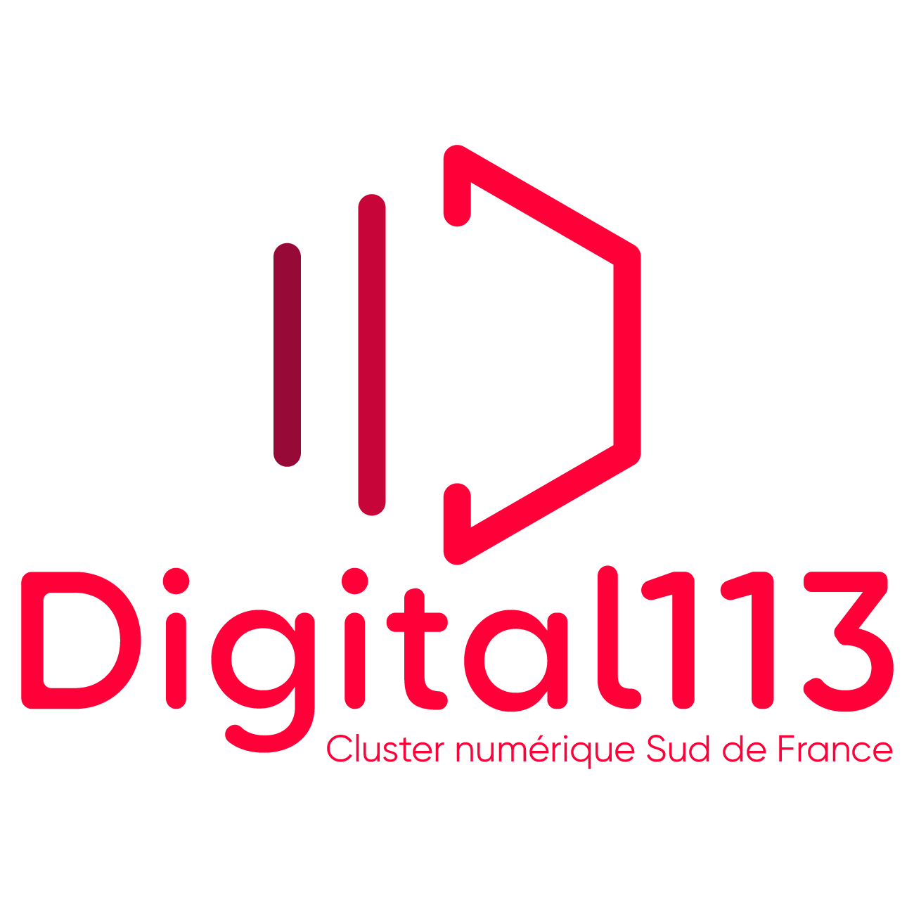 Digital 113
