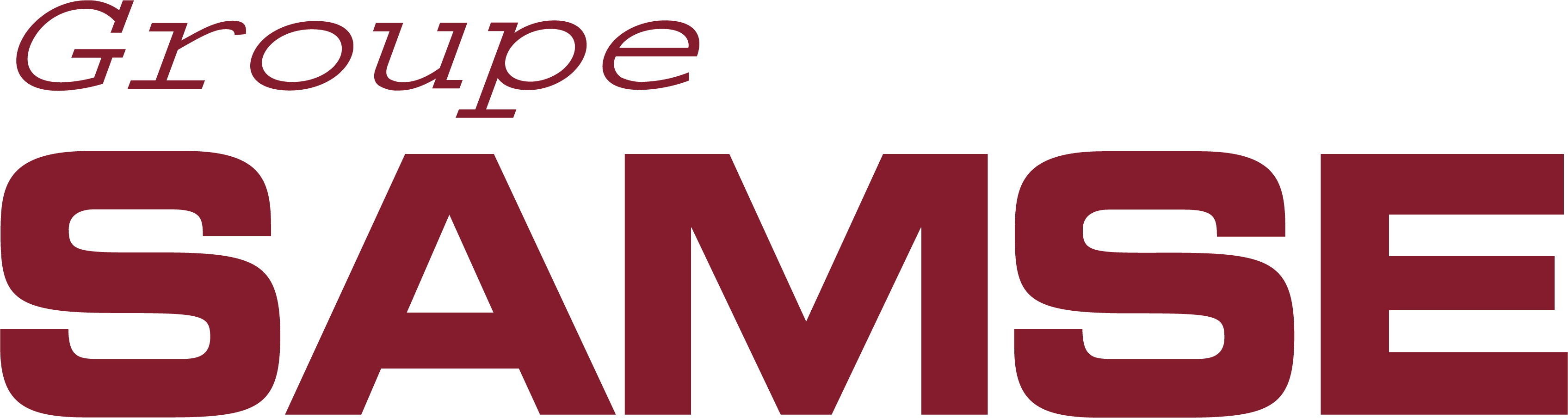 Groupe Samse