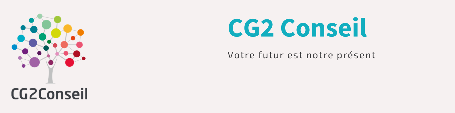 CG2 Conseil