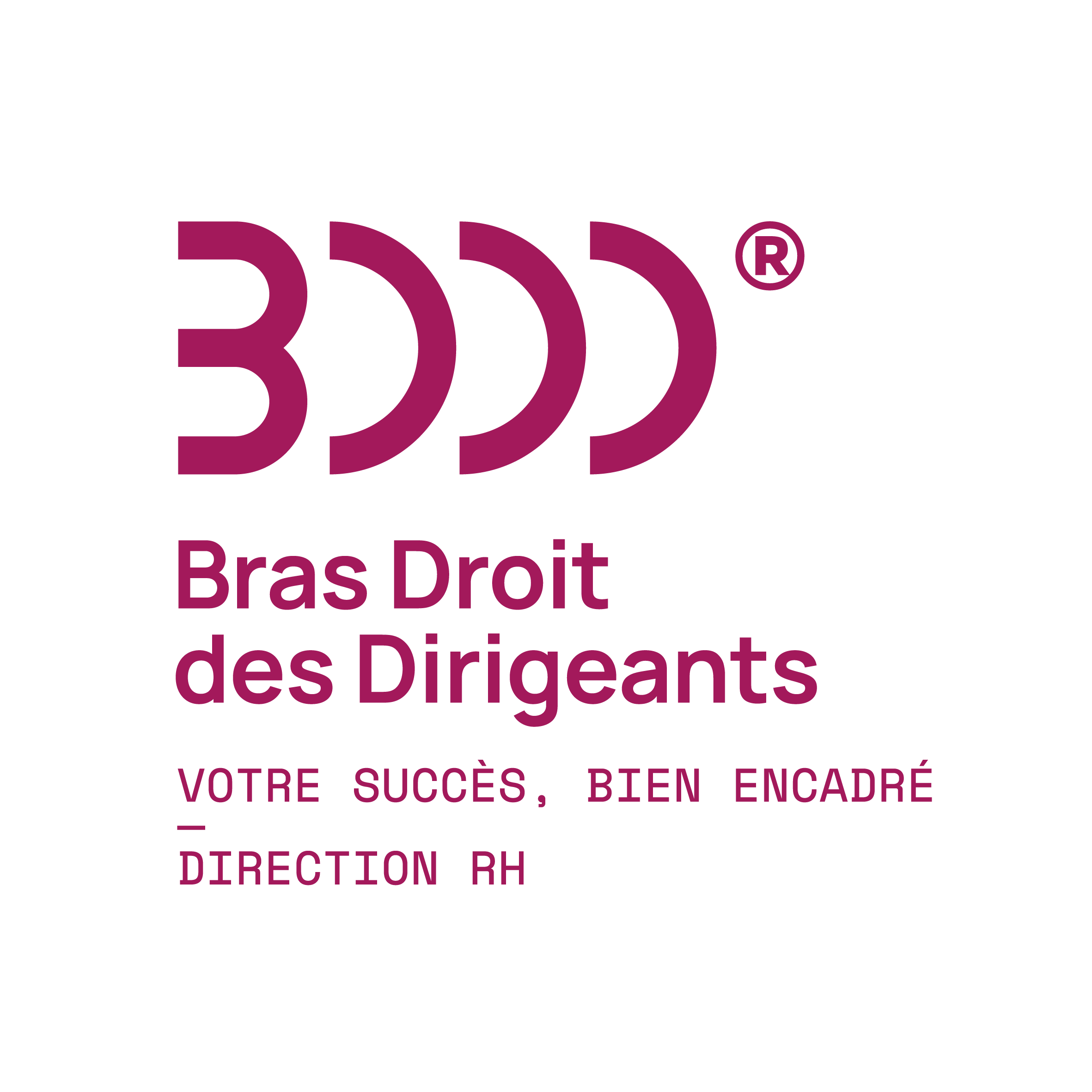 Bras Droit Des Dirigeants Rh Tarn